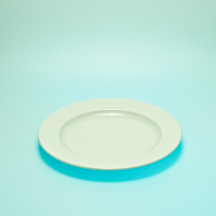 Speiseteller Ø 26,5 cm System Plus